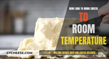 Bringing Cheese to Room Temperature: How Long Does It Take?