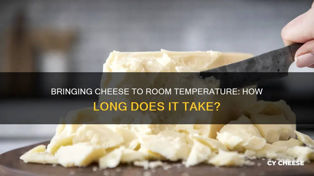 how long to bring cheese to room temperature