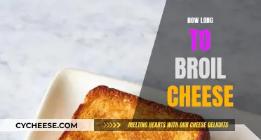 The Perfect Broiled Cheese: Timing for Tasty Results