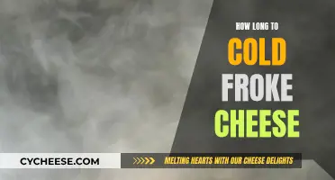 The Ultimate Guide to Cold-Smoking Cheese Perfection