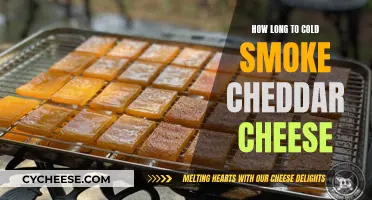 Cold Smoking Cheddar: How Long Should You Smoke It?