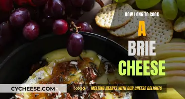 Cooking Brie Cheese: Timing for Perfection