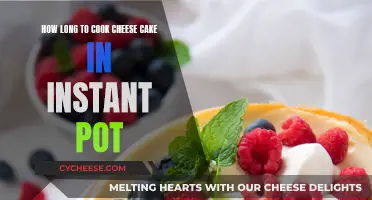 Cheese Cake Perfection: Instant Pot Cooking Time Guide