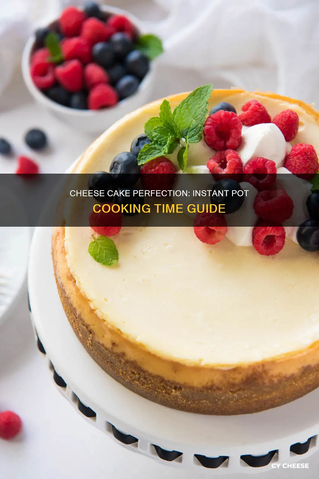 how long to cook cheese cake in instant pot