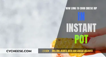 Cooking Cheese Dip: Instant Pot Time and Tips