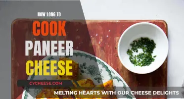 Cooking Paneer Cheese: How Long Should You Wait?