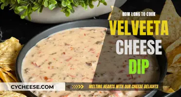 Velveeta Cheese Dip: Cooking Time and Tips