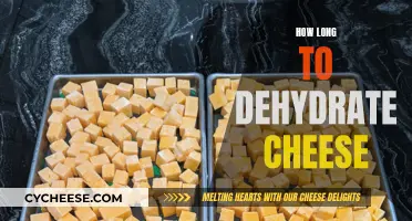 Dehydrating Cheese: How Long Does It Take?