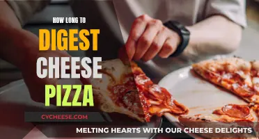 Cheese Pizza: Digestion Timeline and Nutritional Facts