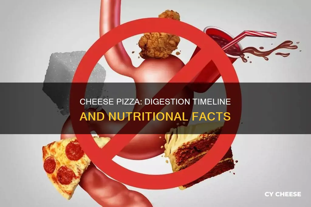 how long to digest cheese pizza