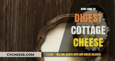 Cottage Cheese Digestion Time: How Long Does It Take?