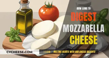 Mozzarella Cheese: Digestion Time and Health Benefits