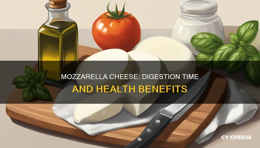 how long to digest mozzarella cheese