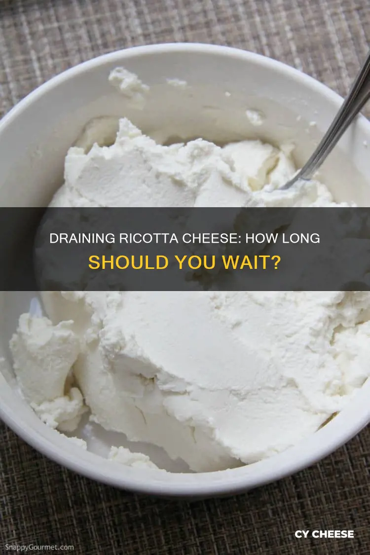 how long to drain ricotta cheese