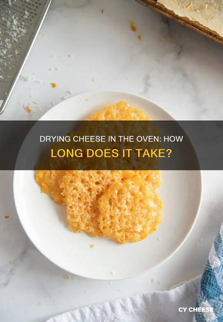 how long to dry cheese in oven