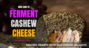 The Art of Fermenting Cashew Cheese: Timing Perfection