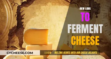 The Art of Fermenting Cheese: Timing is Everything