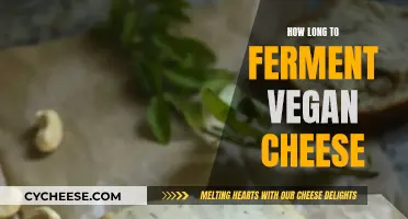 Vegan Cheese Fermentation: How Long Does It Take?