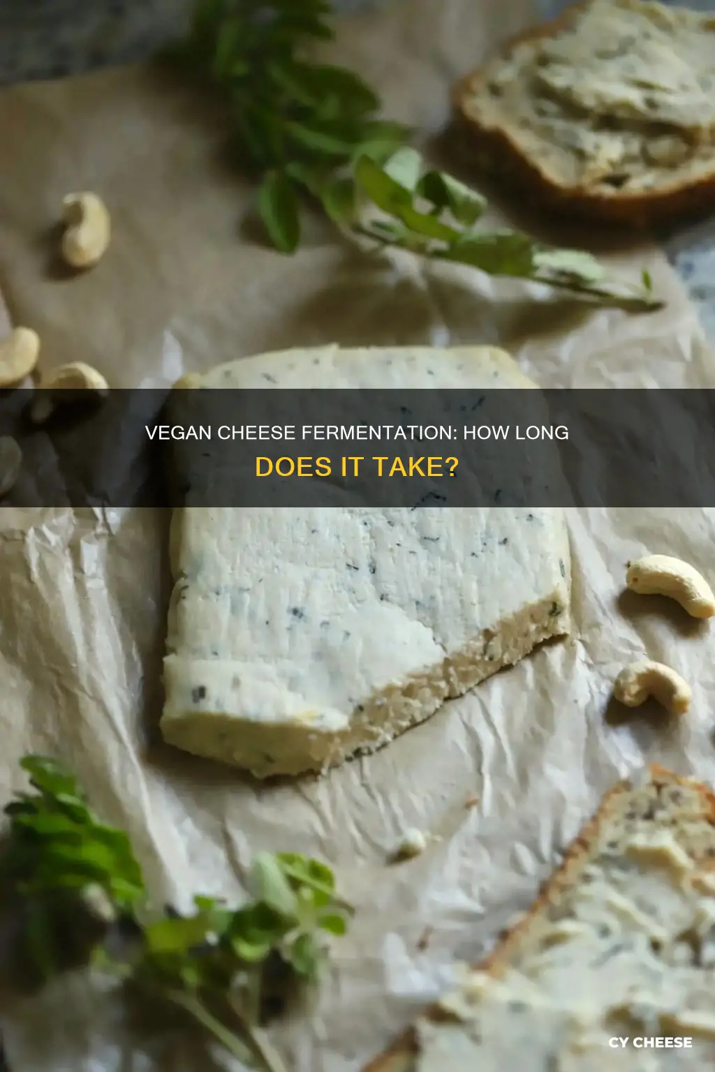 how long to ferment vegan cheese