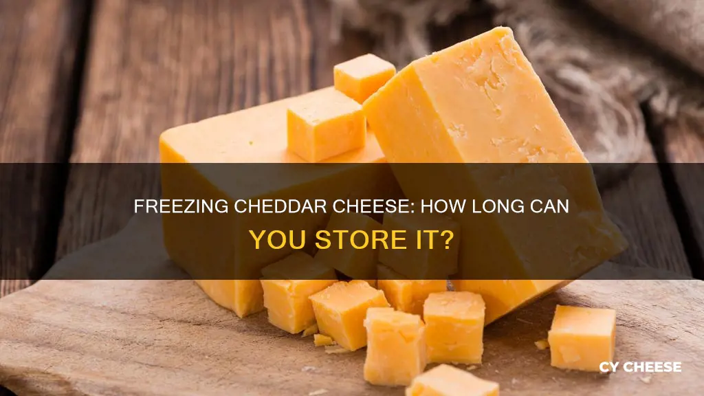 how long to freeze cheddar cheese