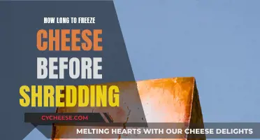 Freezing Cheese Before Shredding: How Long Should You Wait?