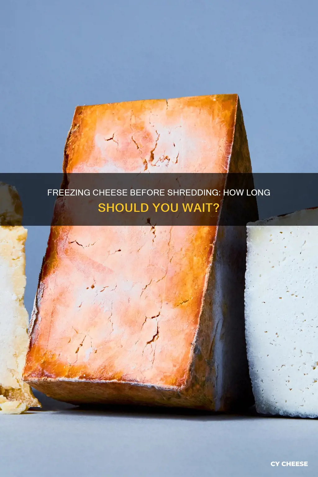 how long to freeze cheese before shredding