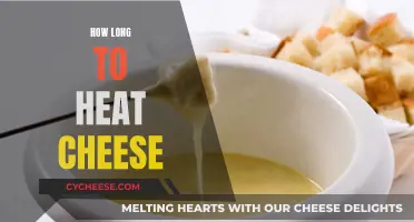 Melting Cheese: The Perfect Timing for a Delicious Dish