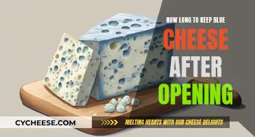 Blue Cheese: How Long Does It Last?