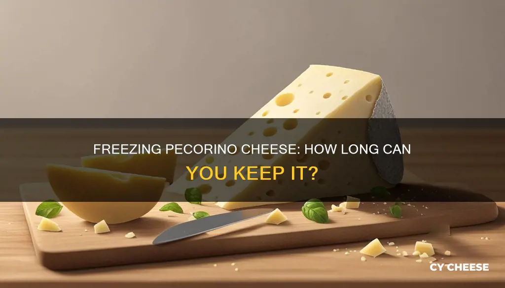 how long to keep frozen cheese pecorino