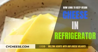 Vegan Cheese: How Long Does it Last in the Fridge?