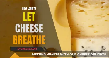 Letting Cheese Breathe: How Long Should You Air It Out?