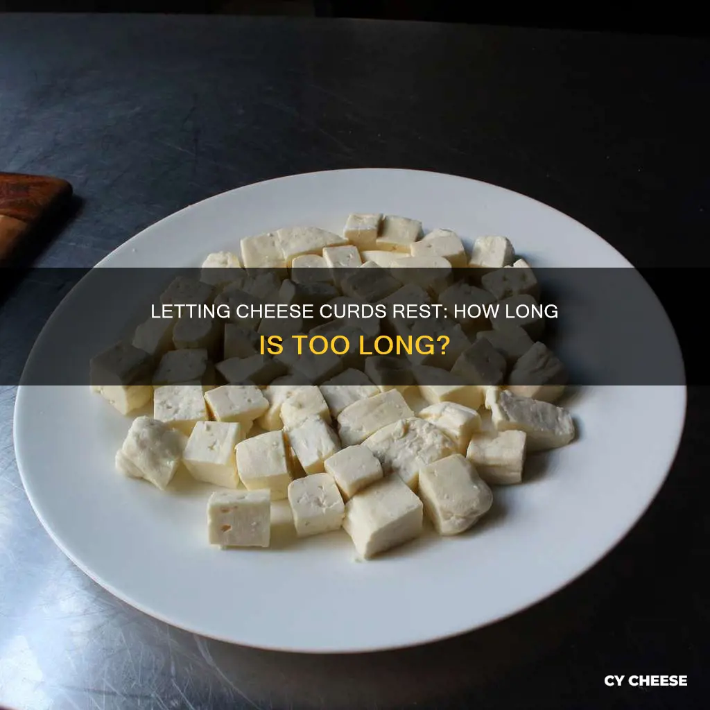 how long to let cheese curds sit out