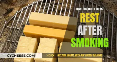 Letting Cheese Rest Post Smoking: How Long is Ideal?