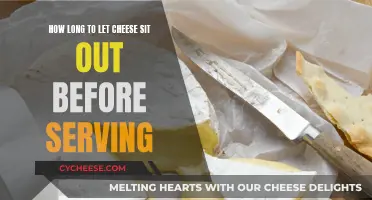 Letting Cheese Breathe: How Long Should You Air Cheese?