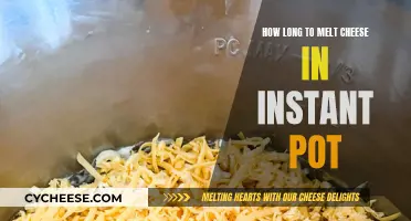 Melting Cheese in an Instant Pot: Time and Techniques