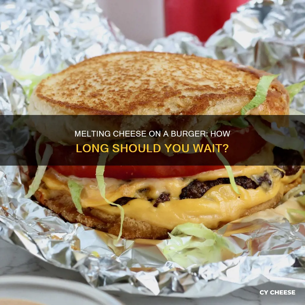 how long to melt cheese on burger