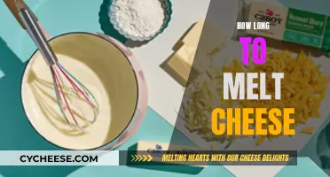 Melting Cheese: Time and Techniques for the Perfect Melt