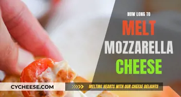 Melting Mozzarella: Timing for Perfect Cheese