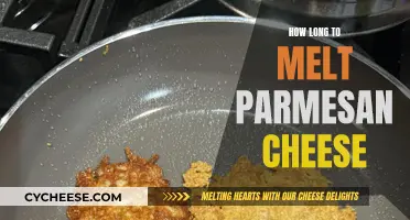 Melting Parmesan Cheese: How Long Does It Take?