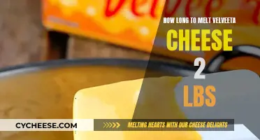 Melting Velveeta Cheese: Time and Techniques