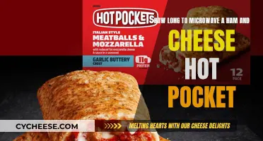 Hot Pocket Perfection: Ham and Cheese in Minutes