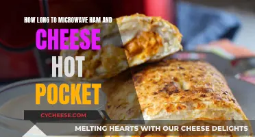 Hot Pocket Perfection: Ham & Cheese in Minutes