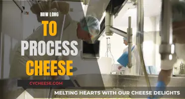 Cheese Processing: Time, Tips, and Tricks