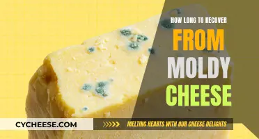 Recovering from Moldy Cheese: What's the Timeline?