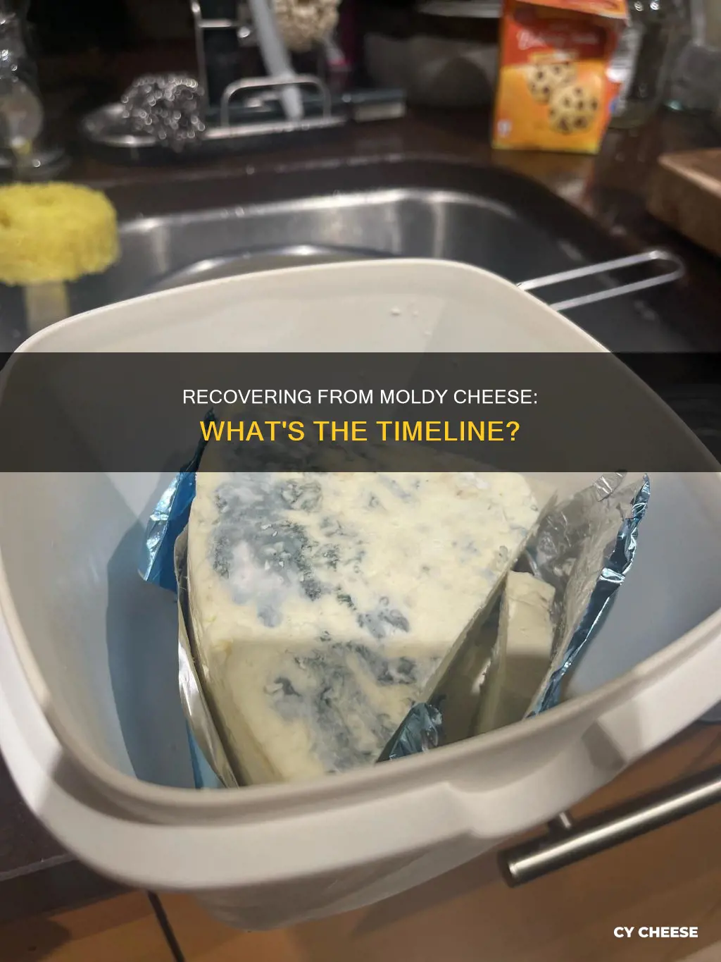 how long to recover from moldy cheese