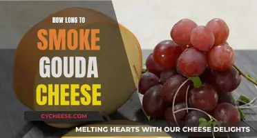 Smoking Gouda: How Long to Get Smoky Perfection