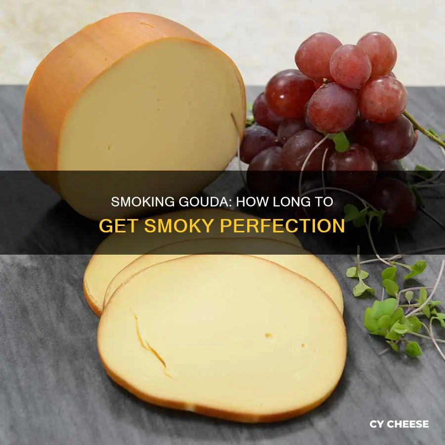 how long to smoke gouda cheese