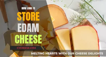 Edam Cheese: Best Storage Practices and Shelf Life