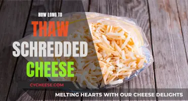 Thawing Shredded Cheese: How Long Does It Take?