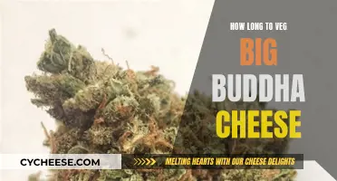 Big Buddha Cheese: Veg Time for Bigger Yields